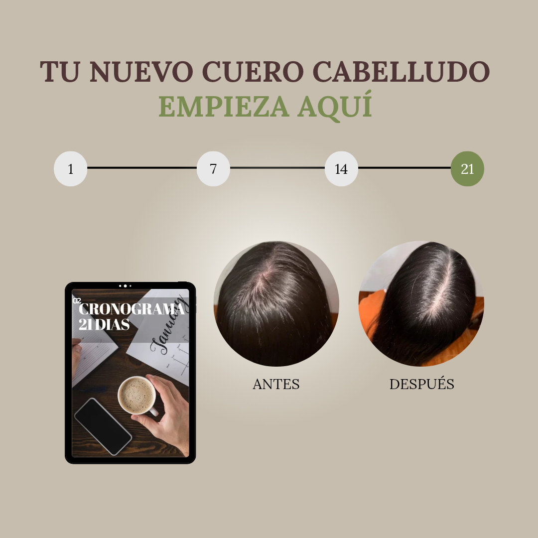 MÉTODO BIO-BALANCE 21